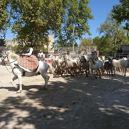 La Cave De Grand Fourques (Gard)