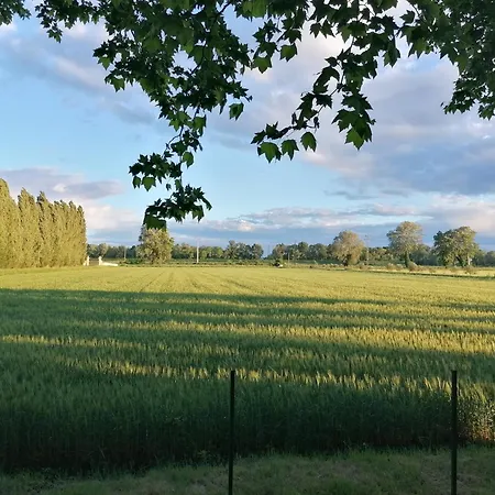 La Cave De Grand Casa vacanze Fourques (Gard)