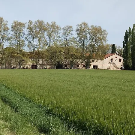 La Cave De Grand *
