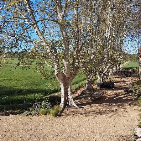 La Cave De Grand * Fourques (Gard)