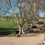 La Cave De Grand * Fourques (Gard)