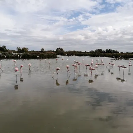 La Cave De Grand Fourques (Gard)